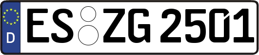 ES-ZG2501