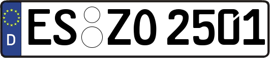 ES-ZO2501