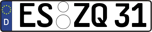 ES-ZQ31