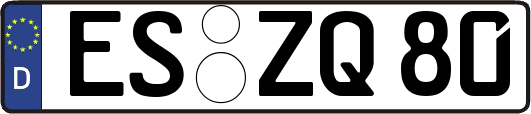 ES-ZQ80