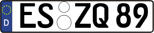 ES-ZQ89