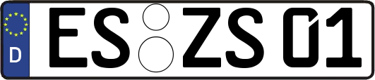ES-ZS01