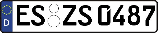 ES-ZS0487