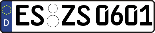 ES-ZS0601