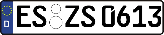 ES-ZS0613