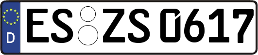 ES-ZS0617