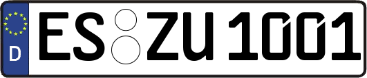 ES-ZU1001