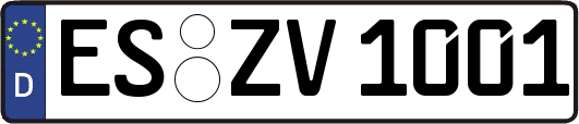 ES-ZV1001