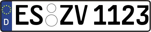 ES-ZV1123