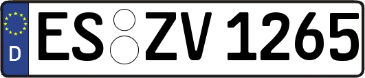 ES-ZV1265