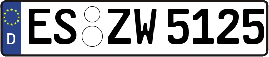 ES-ZW5125