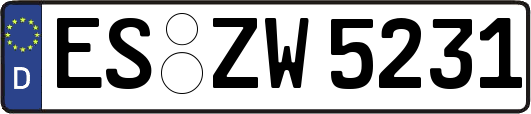 ES-ZW5231