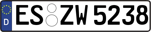 ES-ZW5238