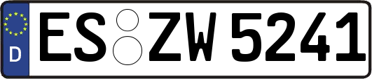 ES-ZW5241