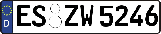 ES-ZW5246