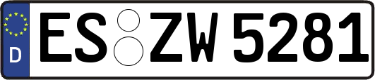 ES-ZW5281
