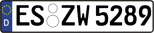 ES-ZW5289