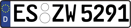 ES-ZW5291