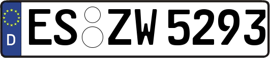 ES-ZW5293