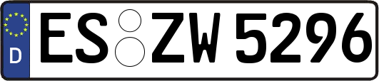 ES-ZW5296