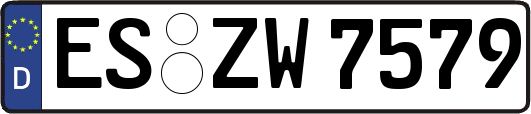 ES-ZW7579