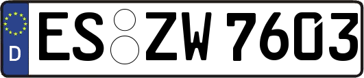 ES-ZW7603