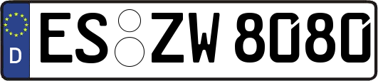 ES-ZW8080