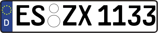 ES-ZX1133