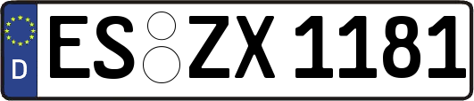 ES-ZX1181