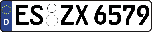 ES-ZX6579