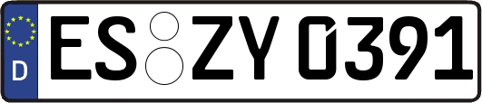 ES-ZY0391
