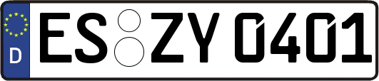 ES-ZY0401