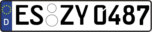 ES-ZY0487