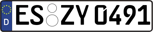 ES-ZY0491