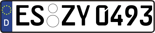 ES-ZY0493