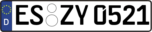 ES-ZY0521