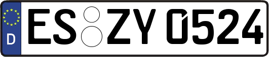 ES-ZY0524