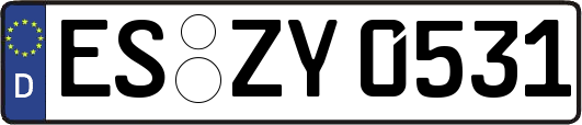 ES-ZY0531