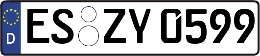ES-ZY0599