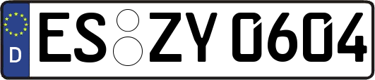 ES-ZY0604