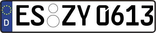 ES-ZY0613