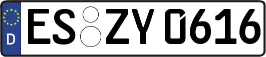 ES-ZY0616