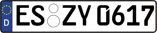 ES-ZY0617