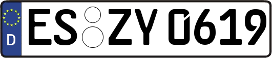 ES-ZY0619