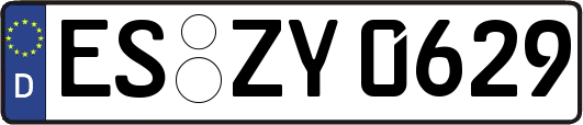 ES-ZY0629