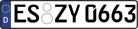 ES-ZY0663
