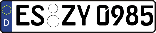 ES-ZY0985
