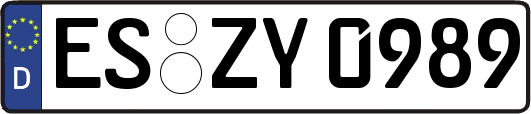 ES-ZY0989
