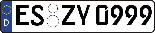 ES-ZY0999