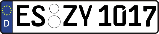 ES-ZY1017